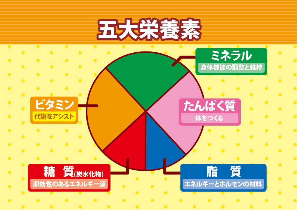 栄養素 五大