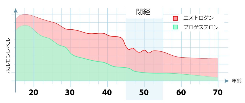 女性ホルモン