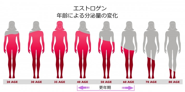 エストロゲンの年齢による分泌量の変化