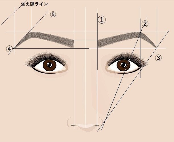 眉毛の黄金比率