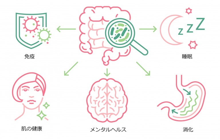 ファスティングによる腸内環境改善メリット