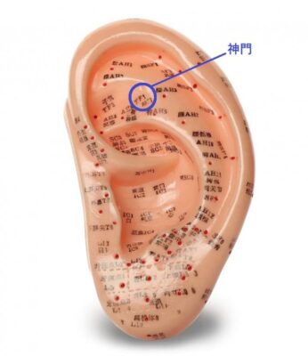 耳マッサージでダイエット効果